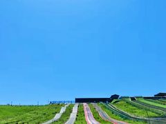 -龙里油画大草原旅游区