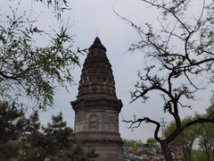 -云岗森林公园