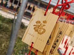 -天津大悲禅院
