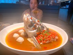 -凤凰湘语(浦东旗舰店)