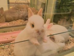 -龙猫仔乐园(惠福东路店)