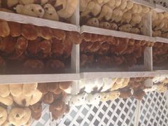 泰迪熊博物馆-济州岛泰迪熊博物馆