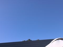 -Takapuna Beach Cafe