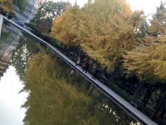-玲珑塔公园
