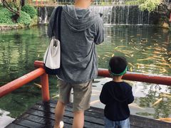 -丽江玉水寨