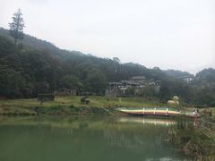 -洪崖丹井