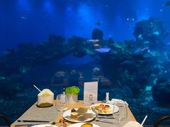 -涛·海底餐厅·美人鱼·自助餐·海底隧道(三亚海棠湾洲际度假酒店)