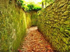 -哲学家之路徒步游(Philosophenweg)