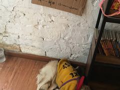 -元氏钵仔糕(北京路店)