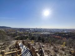 -白水寺森林公园