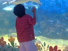 -烟台海昌鲸鲨海洋公园