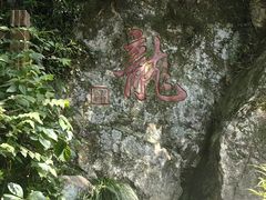 -十八棵（老龙井）御茶园(老龙井店)