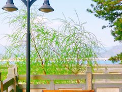-千岛湖天屿景区