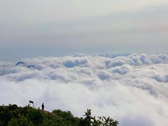 -梧桐山风景名胜区