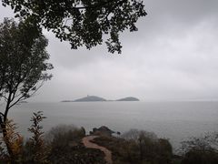 -上海市保健医疗中心(华东疗养院)