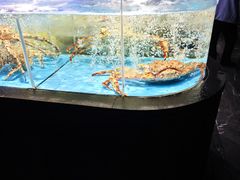 -徐记海鲜(大雁塔|金都店)