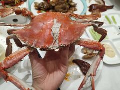 -北塘海鲜·天津菜(大光明桥旗舰店)