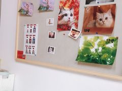 -柯达靓之彩影像网络(明瓦廊店)