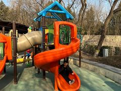 -永定河休闲森林公园