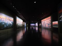 -罗红摄影艺术馆