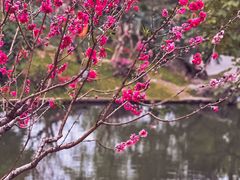 -桃花涧