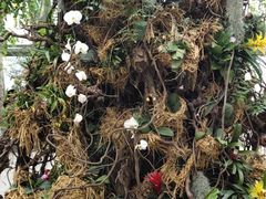 -北京植物园-展览温室
