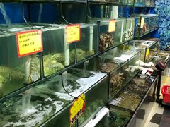 水产区-蚝专家(北滘店)