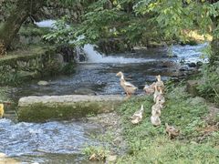 -东天目山风景区