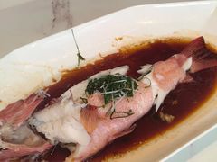 -浦江二号·独栋江景餐厅(滨江大道店)