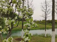 -南北湖风景区