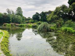 -墨尔本皇家植物园