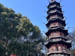 -上海佘山国家森林公园西佘山园