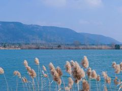 -阳澄湖半岛旅游度假区