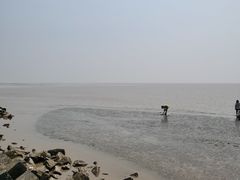 -南汇嘴观海公园