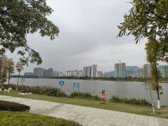 -飞来湖湿地公园