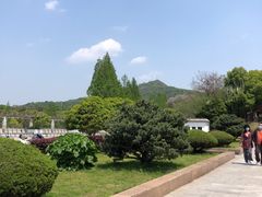 -紫金山山顶公园