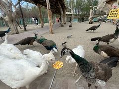 -水上乐园·欢乐世界