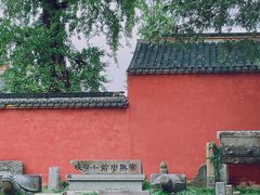 -苏州文庙(姑苏区)