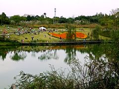 -白鹭湾湿地公园