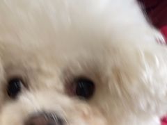 -美联众合24小时·皮肤科·外科·全科诊疗中心(华苑分院)