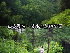 -苏木山森林公园