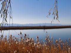 -野鸭湖国家湿地公园