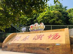 -东方熊牧场