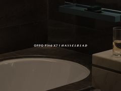 -深圳国际会展中心希尔顿酒店(前海华发冰雪世界店)