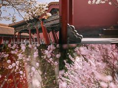 -故宫博物院(故宫)