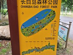 -长白岛森林公园