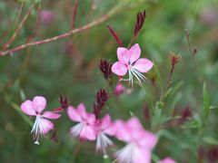 -常熟路(地铁站)