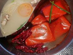 -小媳妇重庆火锅(海莲路店)