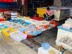 -芦潮港集贸市场