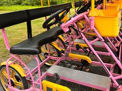 -贡湖湾湿地公园